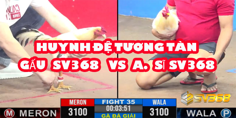 Huynh Đệ Tương Tàn: A Gấu và A Sĩ SV368 Quyết Chiến Vì Ngôi Vô Địch!